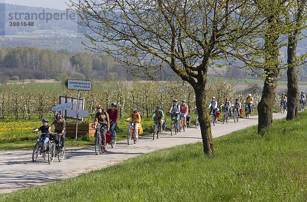 Gruppe Radfahrer bei Bodmann  Bodensee  Baden-Württemberg  Deutschland  Europa