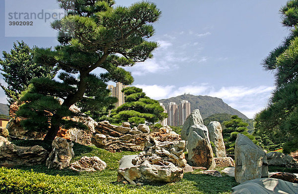 Chi Lin Botanischer Garten  Nan Lian Garden  Hongkong  China  Asien