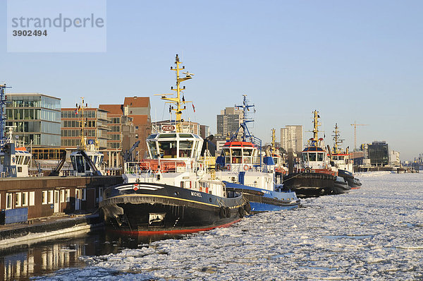 Hafenschlepper auf der winterlichen Elbe im Hamburger Hafen  Övelgönne  Neumühlen  Hamburg  Deutschland  Europa