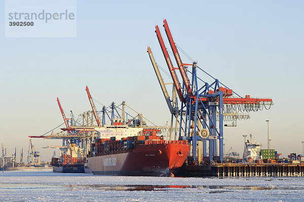 Ein Containerschiff liegt im winterlichen Hamburger Hafen  Burchardkai  Elbe  Hamburg  Deutschland  Europa