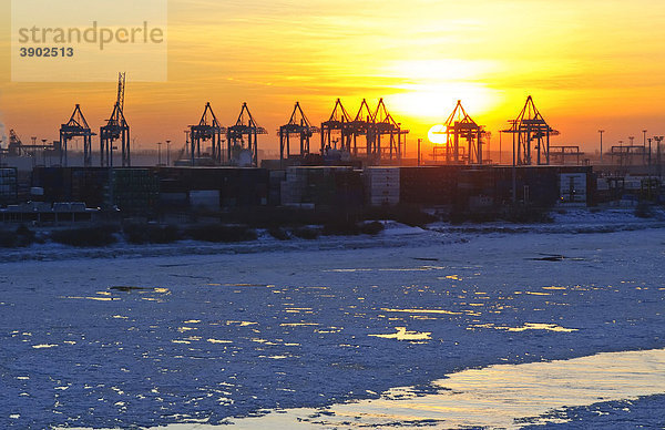 Sonnenuntergang im winterlichen Hamburger Hafen  Elbe  Hamburg  Deutschland  Europa