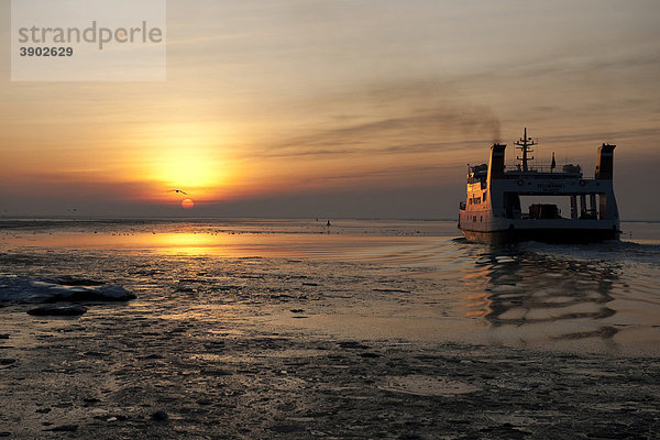 Die Inselfähre nach Pellworm fährt durch das vereiste Wattenmeer  UNESCO Weltnaturerbe  Nationalpark Schleswig-Holsteinisches Wattenmeer  Nordsee  Nordfriesland  Schleswig-Holstein  Norddeutschland  Europa