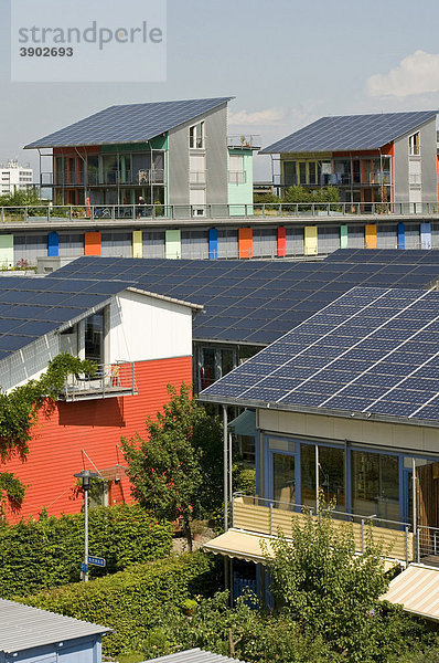 Solarsiedlung  Quartier Vauban  neues Wohnviertel mit dem sich Freiburg auf der EXPO 2010 in Shanghai vorstellt  Freiburg  Baden-Württemberg  Deutschland  Europa