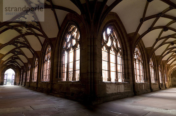 Gotische Fenster  Basler Münster  Basel  Schweiz  Europa
