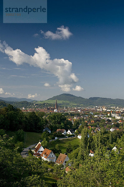 Blick auf Freiburg im Breisgau  Baden-Württemberg  Deutschland  Europa