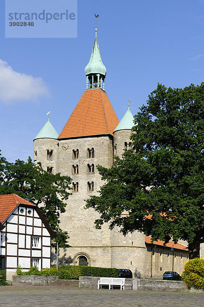 Stiftskirche Freckenhorst  Warendorf  Nordrhein-Westfalen  Deutschland  Europa