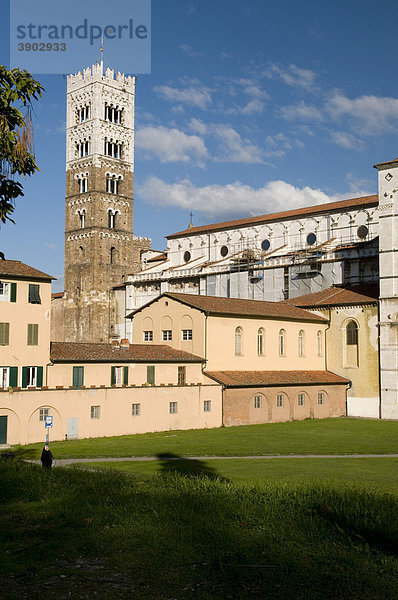 Dom  Duomo San Martino  Lucca  Toskana  Italien  Europa