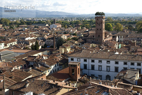 Stadtansicht mit Torre Guinigi  Aussicht von Torre Civica Delle Ore  Lucca  Toskana  Italien  Europa