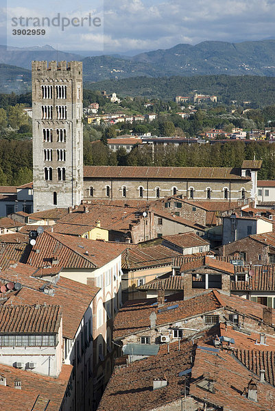 Aussicht von Torre Civica Delle Ore auf die Stadt  Lucca  Toskana  Italien  Europa