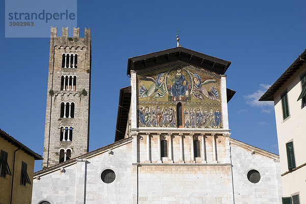 Basilica de S. Frediano  Lucca  Toskana  Italien  Europa