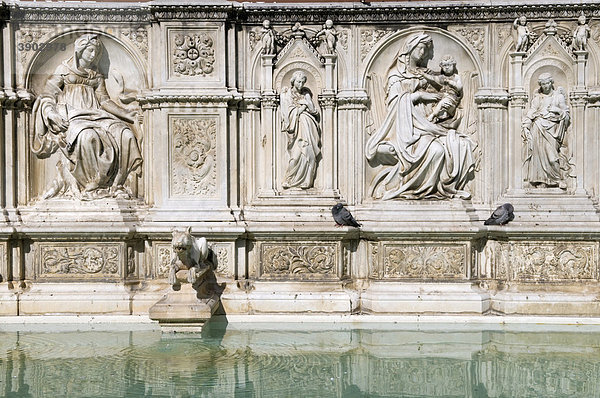 Brunnen Fonte Gaia an der Piazza del Campo  Siena  UNESCO-Weltkulturerbe  Toskana  Italien  Europa