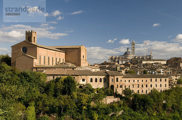 Stadtansicht mit Basilika San Domenico und Dom Duomo Santa Maria Assunta  Siena  UNESCO-Weltkulturerbe  Toskana  Italien  Europa