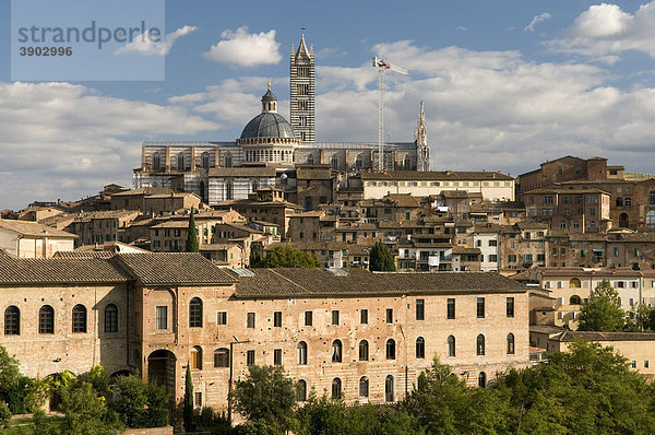 Stadtansicht mit Dom Duomo Santa Maria Assunta  Siena  UNESCO-Weltkulturerbe  Toskana  Italien  Europa