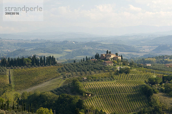 Typische toskanische Landschaft bei San Gimignano  Toskana  Italien  Europa