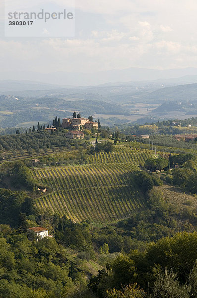 Typische toskanische Landschaft bei San Gimignano  Toskana  Italien  Europa