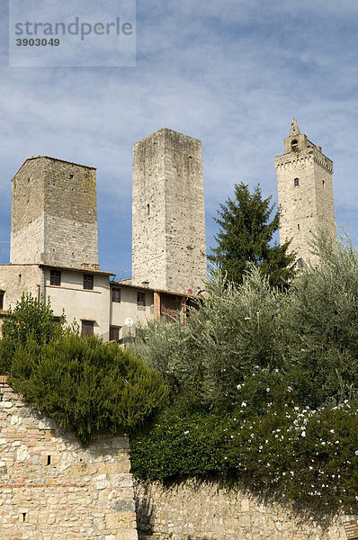 Wohntürme und Geschlechtertürme von San Gimignano  UNESCO-Weltkulturerbe  Toskana  Italien  Europa