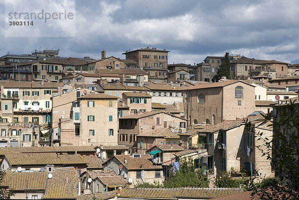 Stadtansicht von Siena  Toskana  Italien  Europa