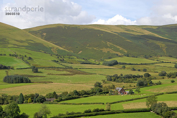 Blick auf Hügel  Weiden und landwirtschaftliche Gebäuden  Wye Valley und Cambrian Mountains  nahe Rhayader  Powys  Wales  Vereinigtes Königreich  Europa