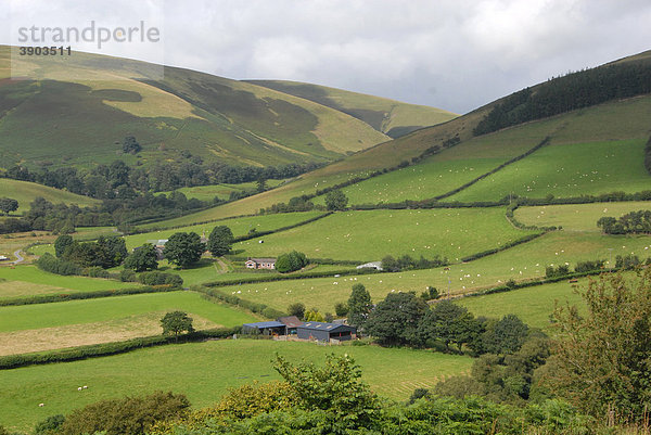 Blick auf Hügel  Weiden und landwirtschaftliche Gebäuden  Wye Valley und Cambrian Mountains  nahe Rhayader  Powys  Wales  Vereinigtes Königreich  Europa