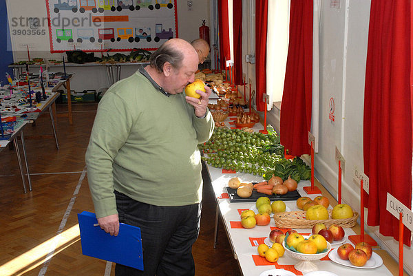 Beurteilung durch die Jury bei einem Ernte-Wettbewerb  Jurymitglied riecht an einem Apfel  Hertfordshire  England  Vereinigtes Königreich  Europa