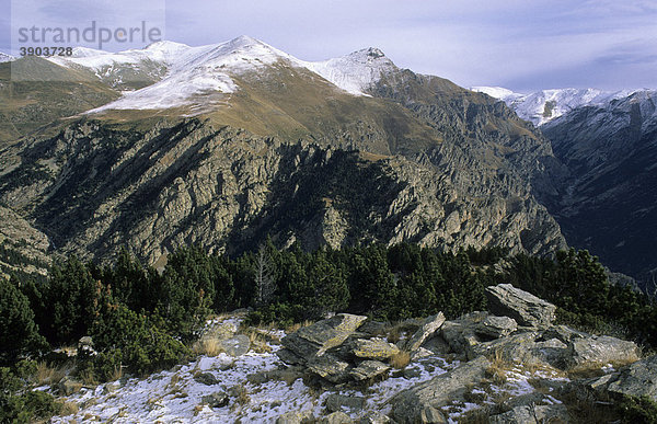 Verschneite Berggipfel  Fontalba  El Ripolles  Pyrenäen  Spanien  Europa