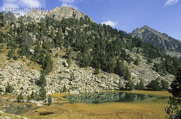 Bergsee und Nadelbäume  Estany dels Barbs  Aiguestortes Nationalpark  Pyrenäen  Katalonien  Spanien  Europa