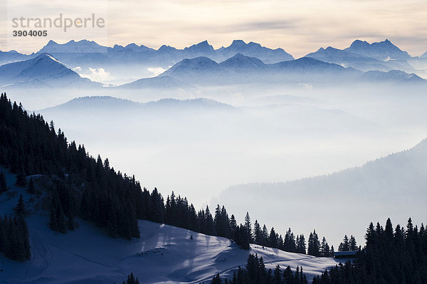 Bayerische Alpen vom Wallberg  Winter  Oberbayern  Bayern  Deutschland  Europa