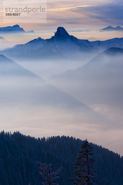 Bayerische Alpen vom Wallberg  Winter  Oberbayern  Bayern  Deutschland  Europa