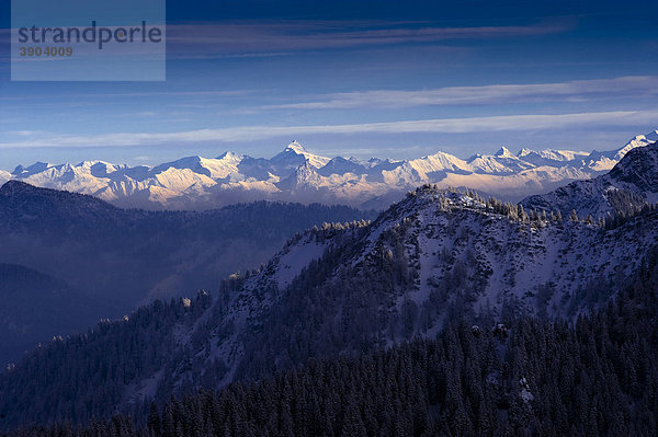Bayerische Alpen vom Wallberg  Winter  Oberbayern  Bayern  Deutschland  Europa