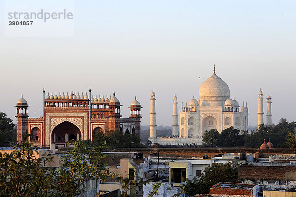 Taj Mahal  UNESCO Weltkulturerbe  Agra  Uttar Pradesh  Nordindien  Indien  Südasien  Asien