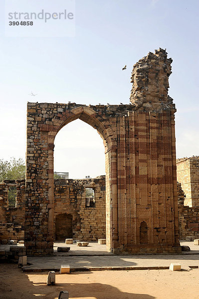 Ruinen  Qutb-Komplex  Mehrauli Archaeological Park  Delhi  Uttar Pradesh  Nordindien  Indien  Südasien  Asien