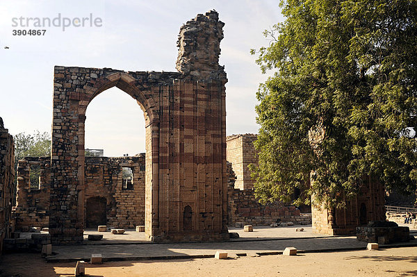 Ruinen  Qutb Komplex  Mehrauli Archaeological Park  Delhi  Uttar Pradesh  Nordindien  Indien  Südasien  Asien