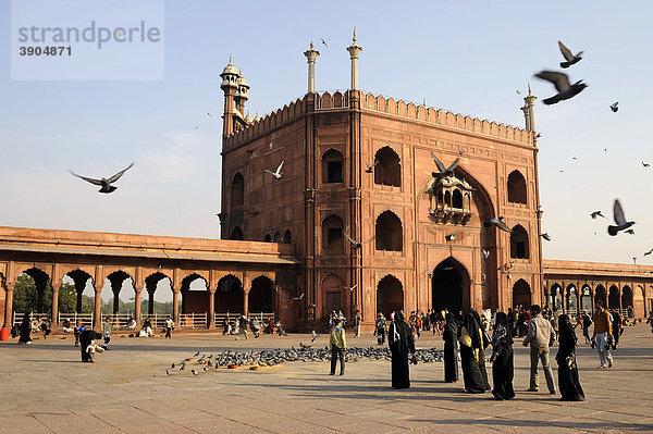 Haupttor und Innenhof der Freitagsmoschee Jama Masjid  Alt-Delhi  Delhi  Uttar Pradesh  Nordindien  Indien  Südasien  Asien