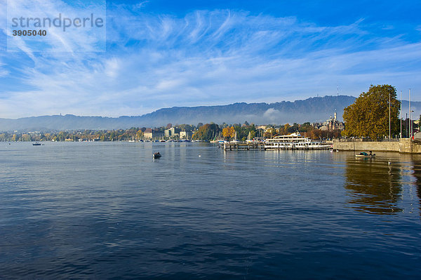 Zürichsee  Zürich  Schweiz  Europa