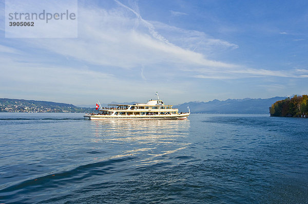 Touristenschiff  Zürichsee  Glarner Alpen  Zürich  Schweiz  Europa