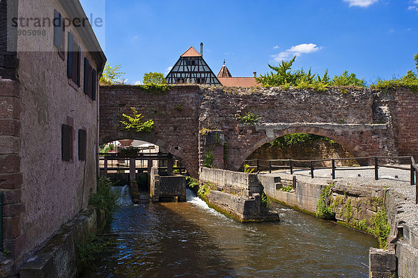 Le Bruch  alte Stadtmauer mit Wehr an der Lauter  Wissembourg  Naturpark Nordvogesen  Vogesen  Elsass  Frankreich  Europa
