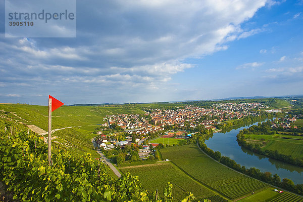 Blick vom Käsberg mit Neckar und Neckarschleife  Mundelsheim  Neckartal  Baden-Württemberg  Deutschland  Europa