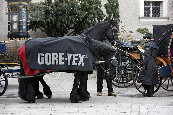 Fiaker  Pferdekutschen warten am Alter Markt  Pferde sind warm bedeckt  Salzburg  Österreich  Europa