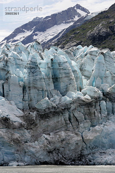 Gletschereis  Johns Hopkins Glacier im Glacier Bay Nationalpark  Alaska  USA