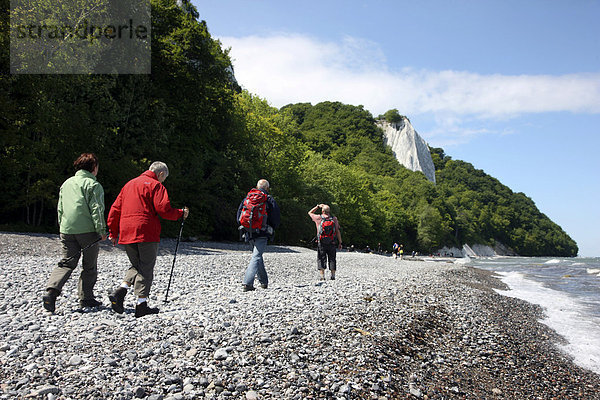 Kreidefelsen Königsstuhl  Steilküste  Kreideküste  Ostseeküste auf der Halbinsel Jasmund  Nationalpark  im Nordosten der Insel Rügen  Mecklenburg-Vorpommern  Deutschland  Europa