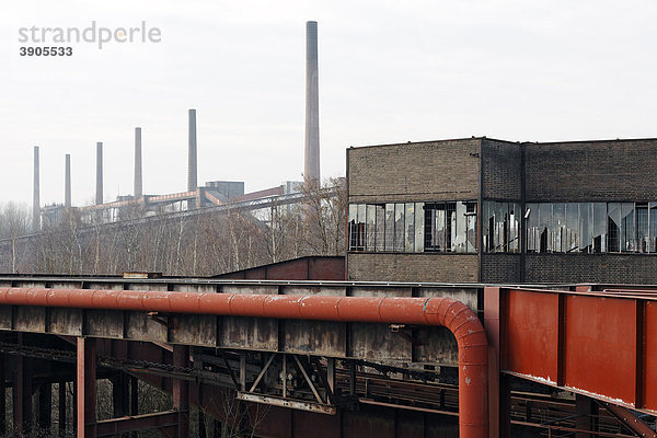 Kokerei Zollverein  Blick von Schacht 1-2-8  stillgelegte Zeche  Essen  Ruhrgebiet  Nordrhein-Westfalen  Deutschland  Europa