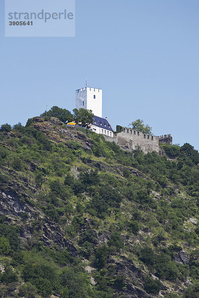 Burg Sterrenberg  Mittelrheintal  Rheinland-Pfalz  Deutschland Europa