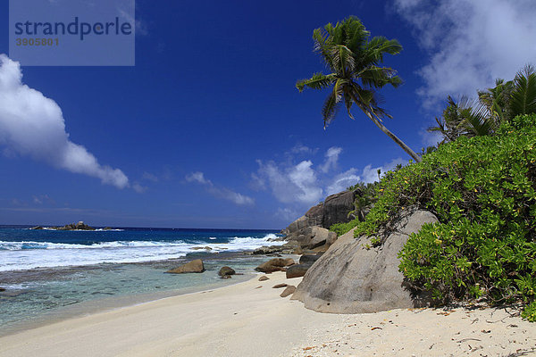 Kokospalme (Cocos nucifera) und Granitfelsen am Strand Anse Cache  Insel Mahe  Seychellen  Afrika  Indischer Ozean