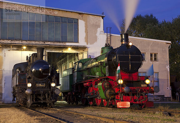 Dampflokomotive 331.037  Slowakei  und Dampflok der Reihe 109  Ungarn  Eisenbahnmuseum Strasshof  Österreich  Europa