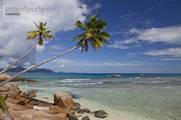 Kokospalmen (Cocos nucifera) und Granitfelsen an der Anse Severe  Insel La Digue  Seychellen  Afrika  Indischer Ozean
