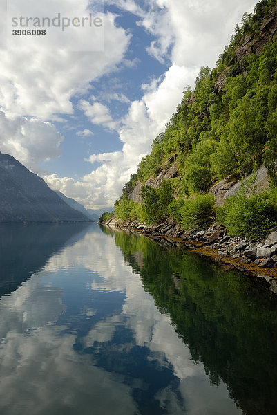 Landschaft am S¯rfjord bei Odda  Provinz Hordaland  Norwegen  Europa