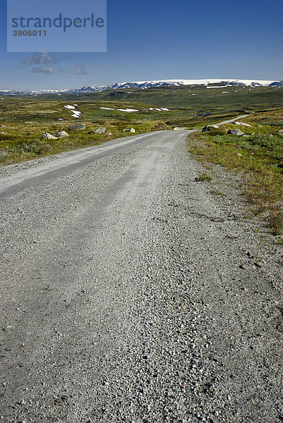Schotterpiste auf der Hardangervidda  Fylke Hordaland  Plateaufjell und die größte Hochebene Europas  Norwegen  Europa