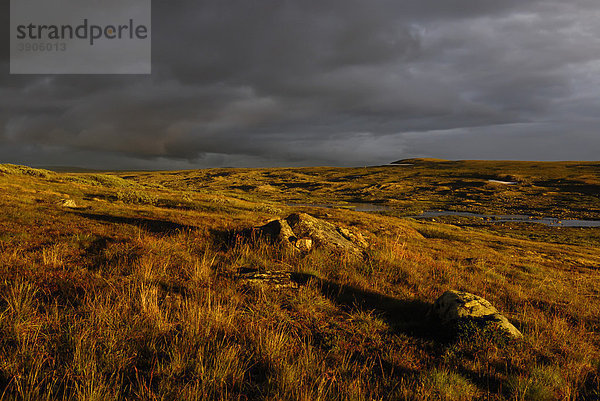 Abendlicht über der Hardangervidda  Hardanger Vidda  Plateaufjell und die größte Hochebene Europas  Norwegen  Europa