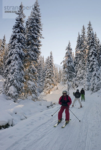 Skifahrer im Wald  Österreich  Europa