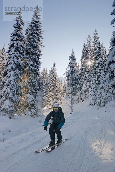 Skifahrer im Wald  Österreich  Europa